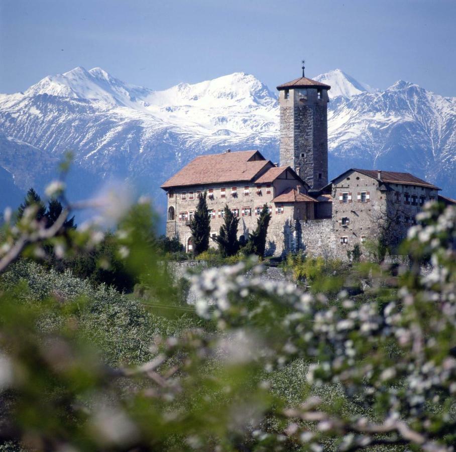 Cinzia Dolomiti Del Brenta Apartment Tassullo Екстериор снимка